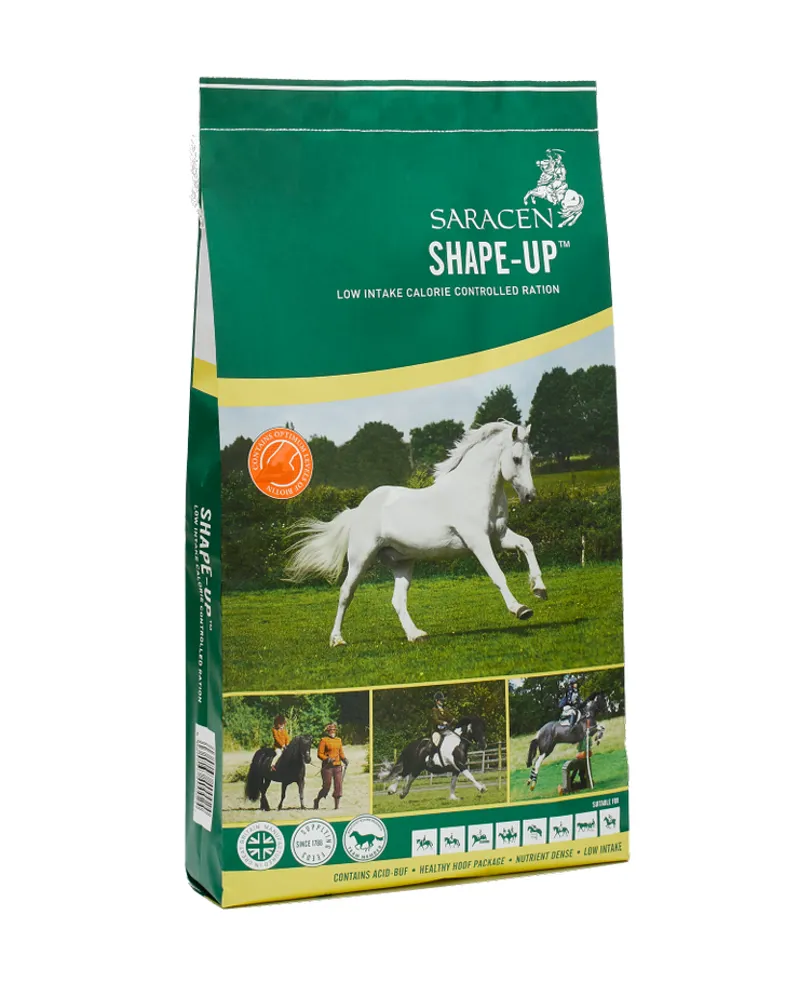 Saracen Shape-Up Balancer 20kg