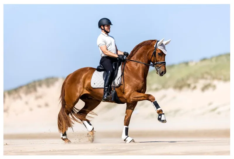 BR Saddle Pad Emilio Dressage Dove-2