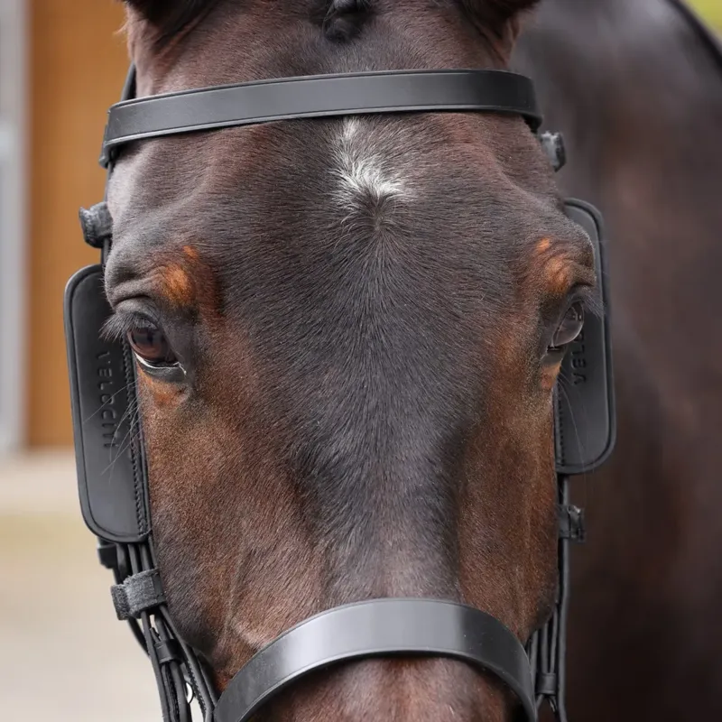 Shires Velociti Gara Leather Blinkers One Size - Black-1