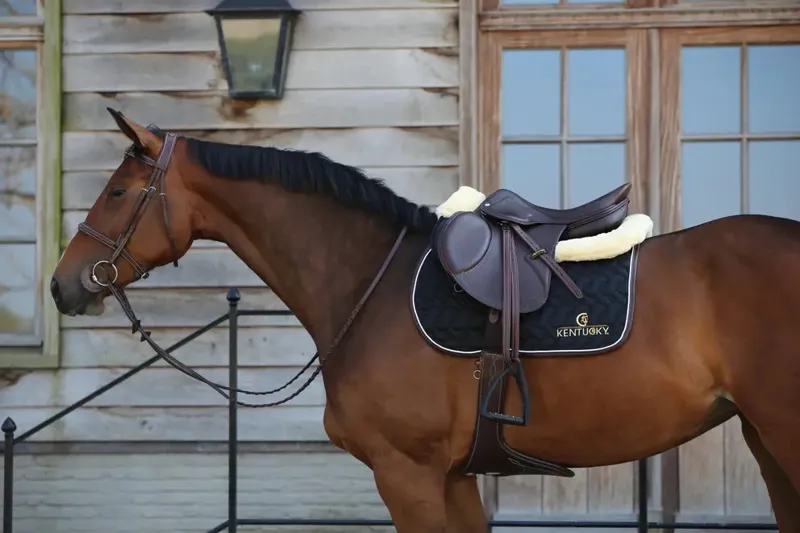 Kentucky Horsewear Saddle Pad Jumping Black-2