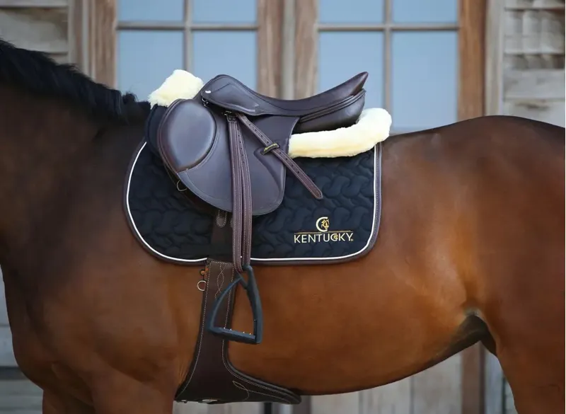 Kentucky Horsewear Saddle Pad Jumping Black-1