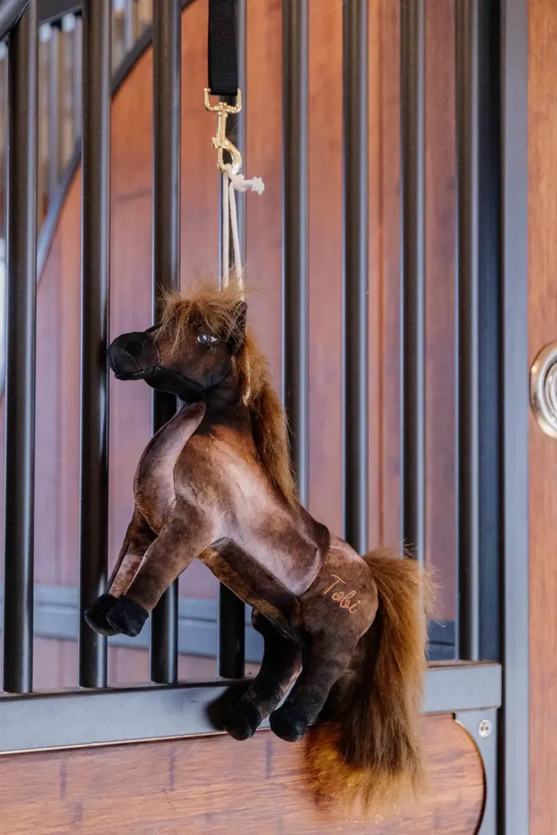 Kentucky Horsewear Relax Horse Toy Tableux-3