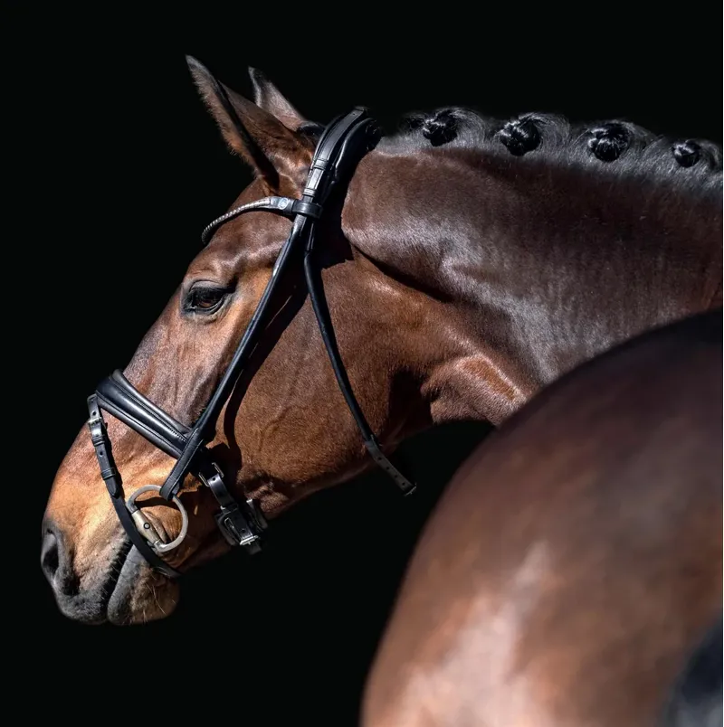 Finesse Cassidy Double Bridle Cob Black/patent