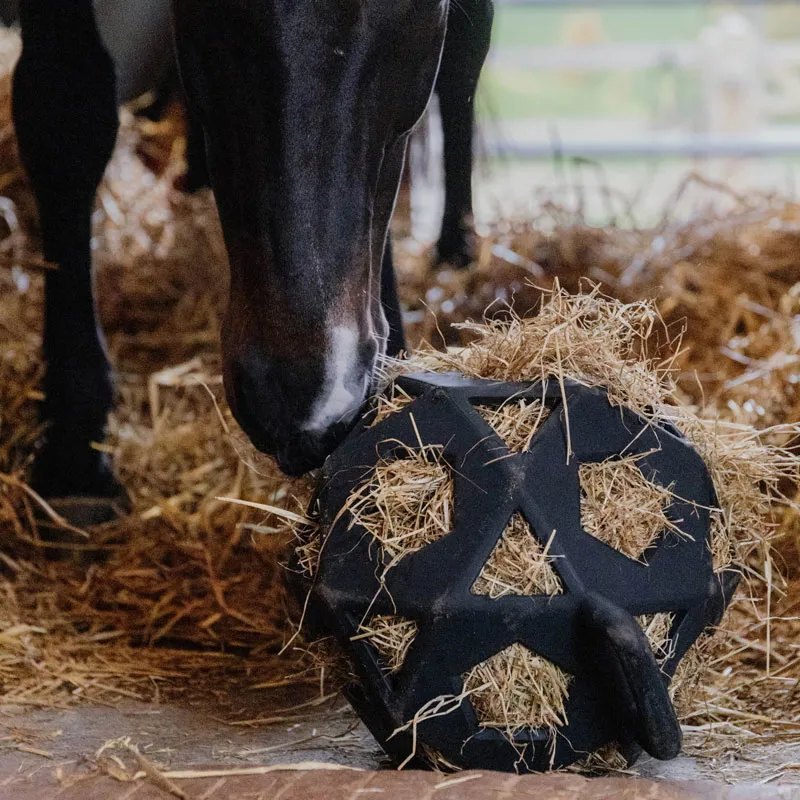 Kentucky Horsewear Relax Horse Play and Hay Ball Black-2