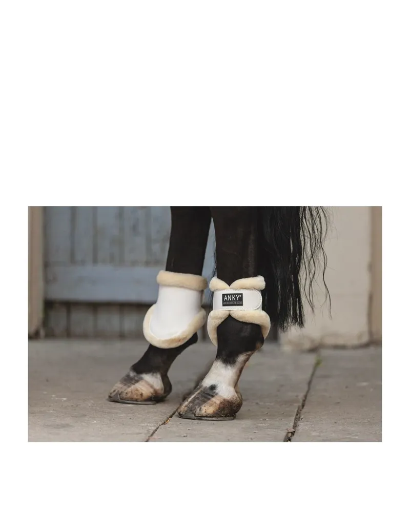Anky Fetlock Boot Bright White-1