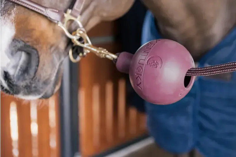 Kentucky Horsewear Rubber Ball Lead Rope Clip Protection Bordeaux