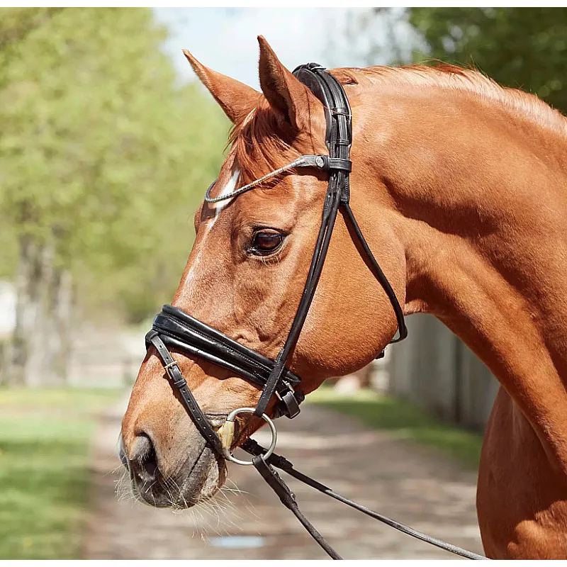 Finesse Cassidy Double Bridle Cob Black/patent-3