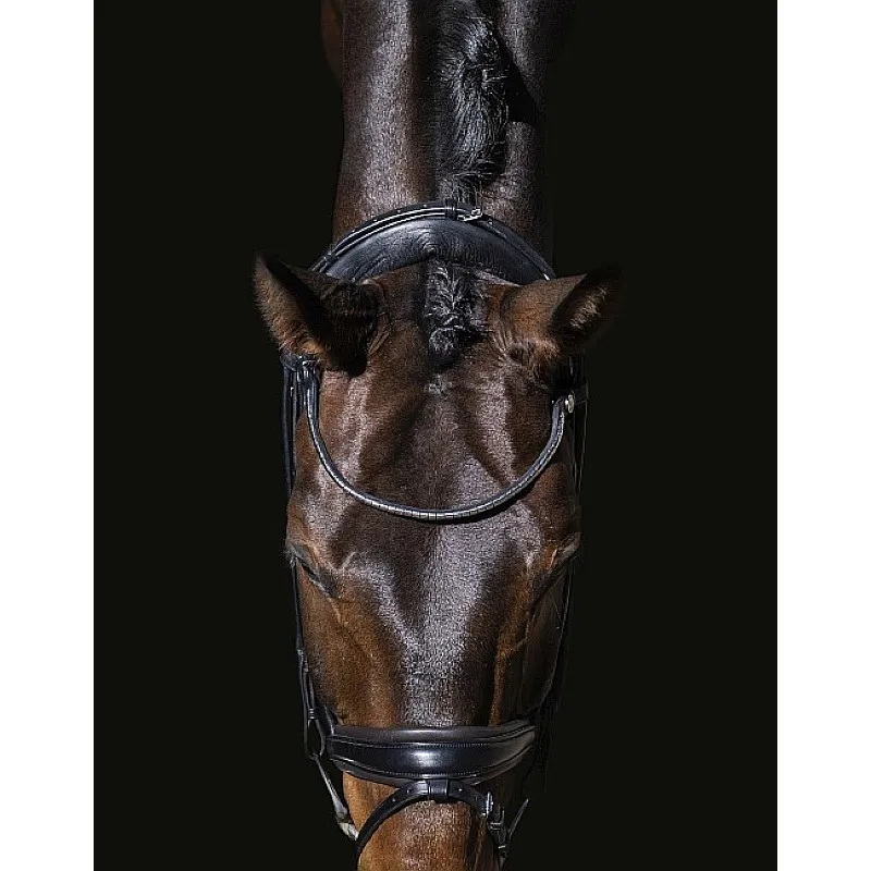 Finesse Cassidy Double Bridle Cob Black/patent-1
