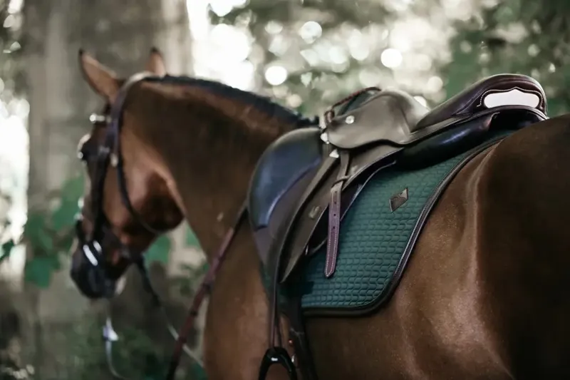 Kentucky Horsewear Saddle Pad Color Edition Leather Jumping Olive Green-1