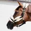 Kentucky Horsewear Nylon Sheepskin Halter Soft Natural