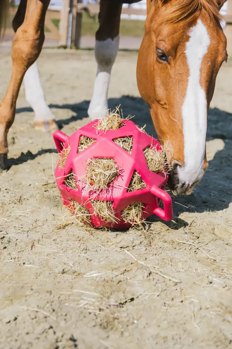 Kentucky Horsewear Relax Horse Play Hay Ball Pink -1