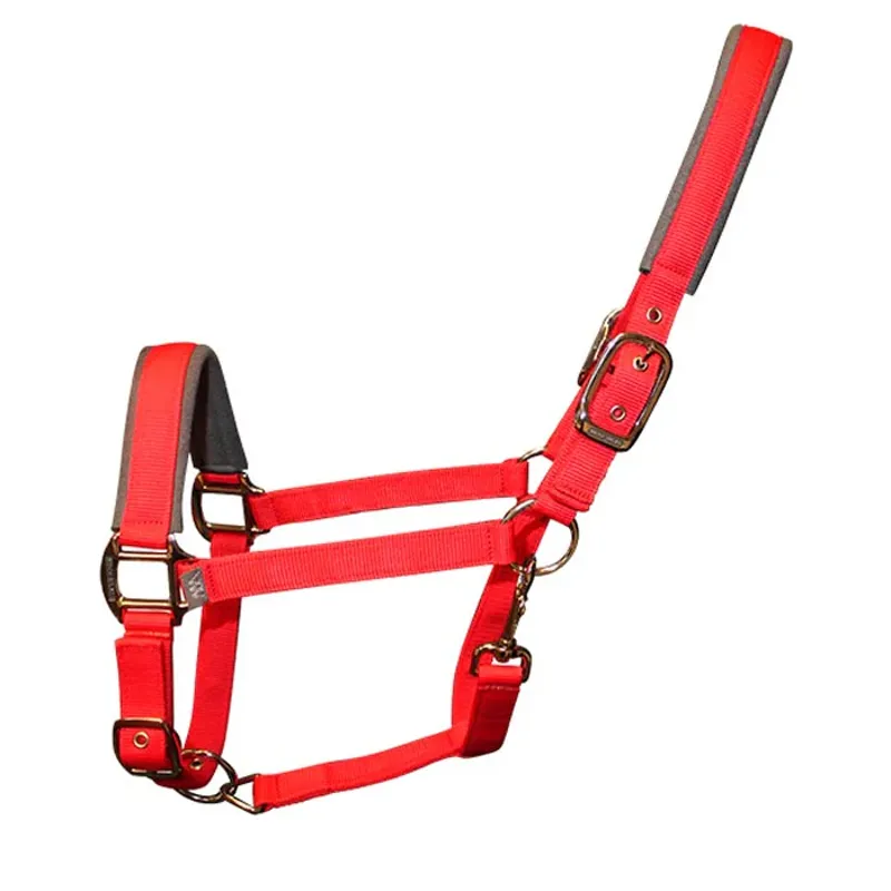 Woof Wear Contour Headcollar Royal Red