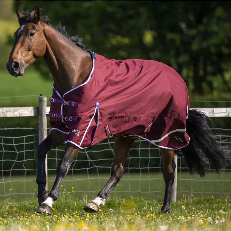 Gallop Trojan Xtra Lightweight Turn Out Rug