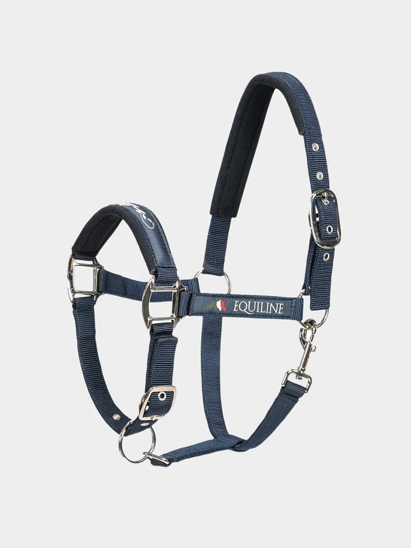 Equiline Timmy Headcollar Blue