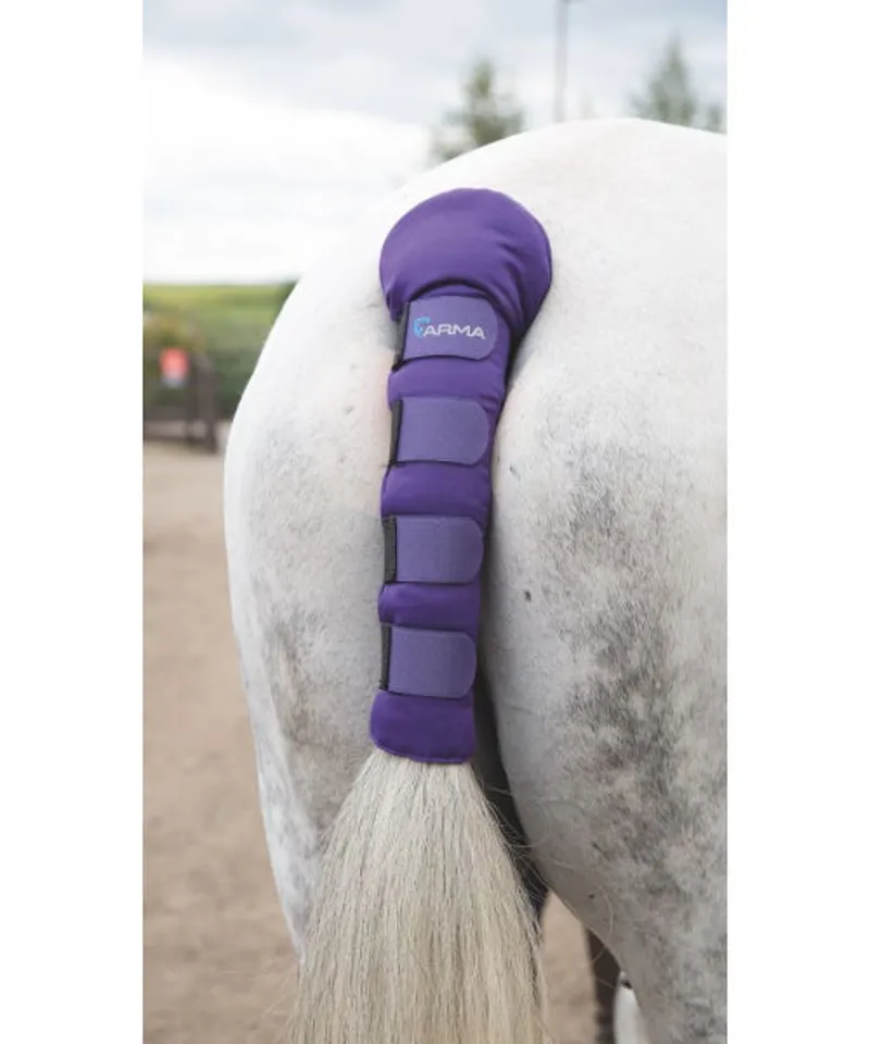 ARMA Padded Tail Guard Purple