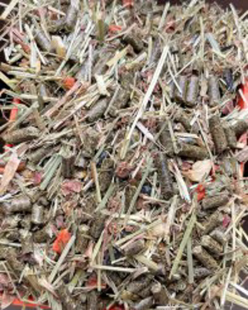 Premier Performance Complete Muesli 15kg-1