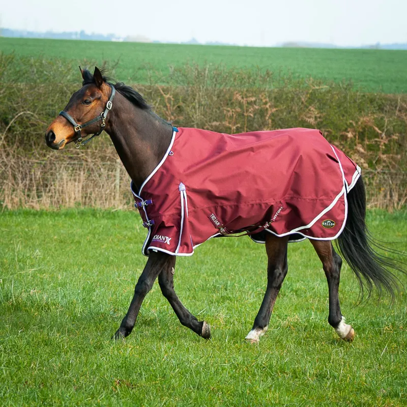 Gallop Trojan Xtra Lightweight Turn Out Rug-3