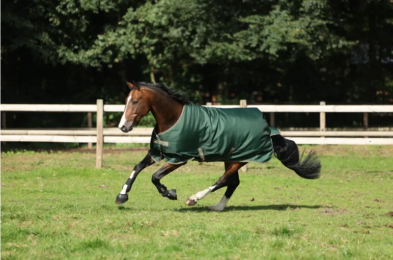 Bucas Freedom Turnout Rug 150g Opal