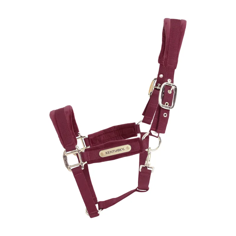 Kentucky Horsewear Velvet Halter Bordeaux