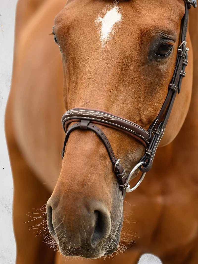 PS of Sweden Stockholm Bridle Brown-1