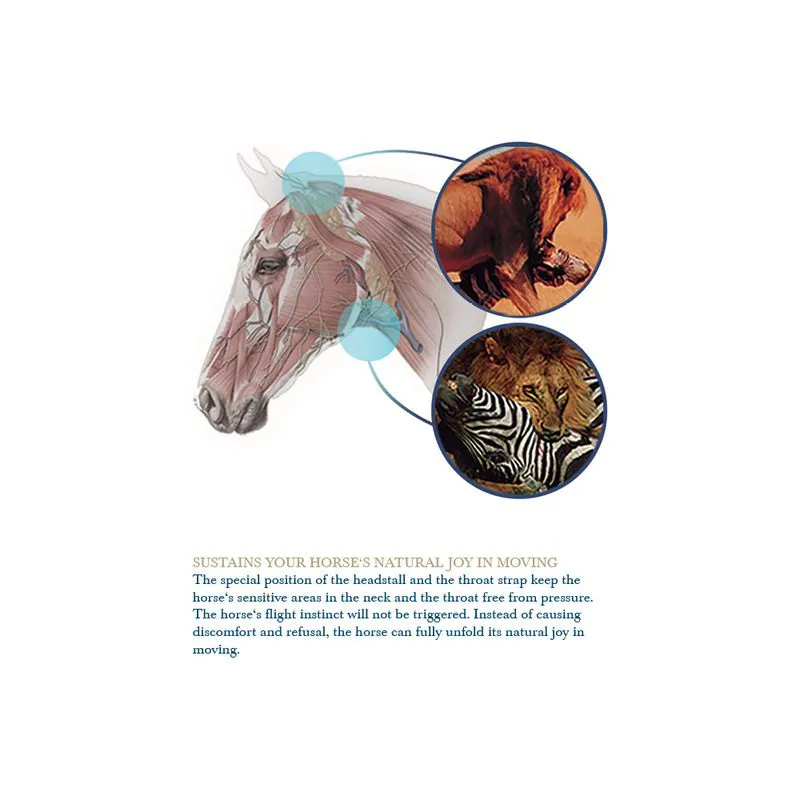 Stubben Freedom II Snaffle Bridle TRIAL-6