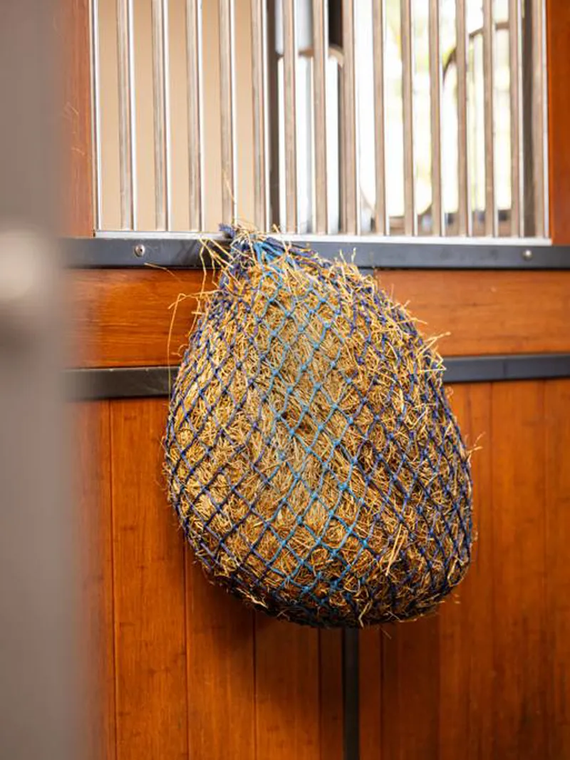 LeMieux Hippo Net Atlantic-1