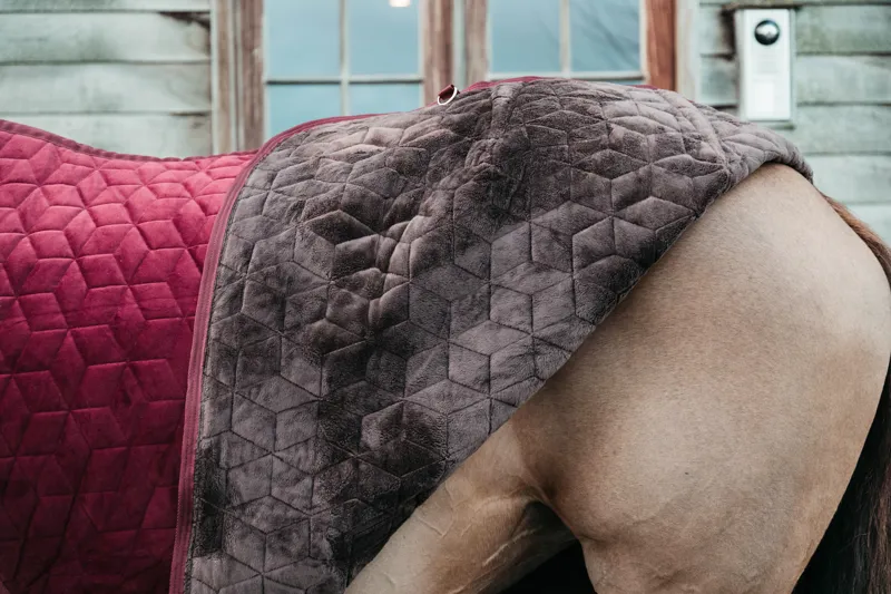 Kentucky Horsewear Show Rug Velvet Bordeaux-2