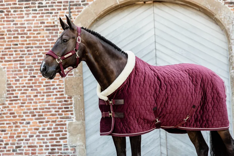 Kentucky Horsewear Show Rug Velvet Bordeaux