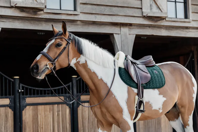 Kentucky Horsewear Skin Friendly Saddle Pad Velvet Jumping Pine Green-1