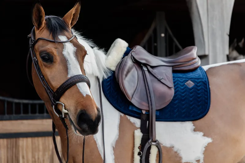 Kentucky Horsewear Skin Friendly Saddle Pad Velvet Jumping Navy-2