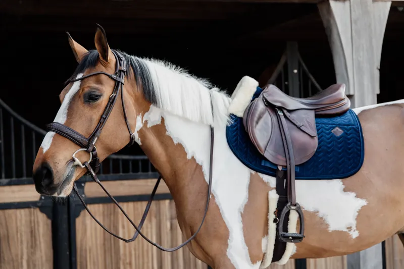 Kentucky Horsewear Skin Friendly Saddle Pad Velvet Jumping Navy-3