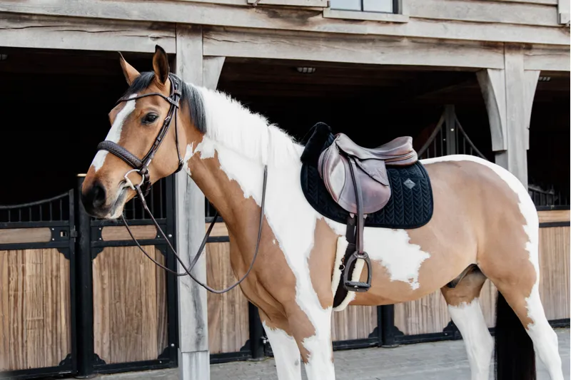 Kentucky Horsewear Skin Friendly Saddle Pad Velvet Jumping Black-5