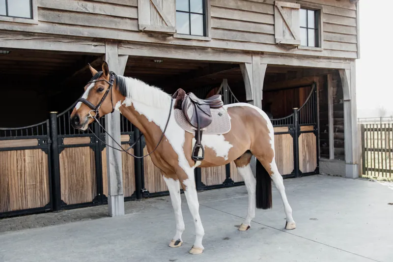 Kentucky Horsewear Skin Friendly Saddle Pad Velvet Jumping Beige-1