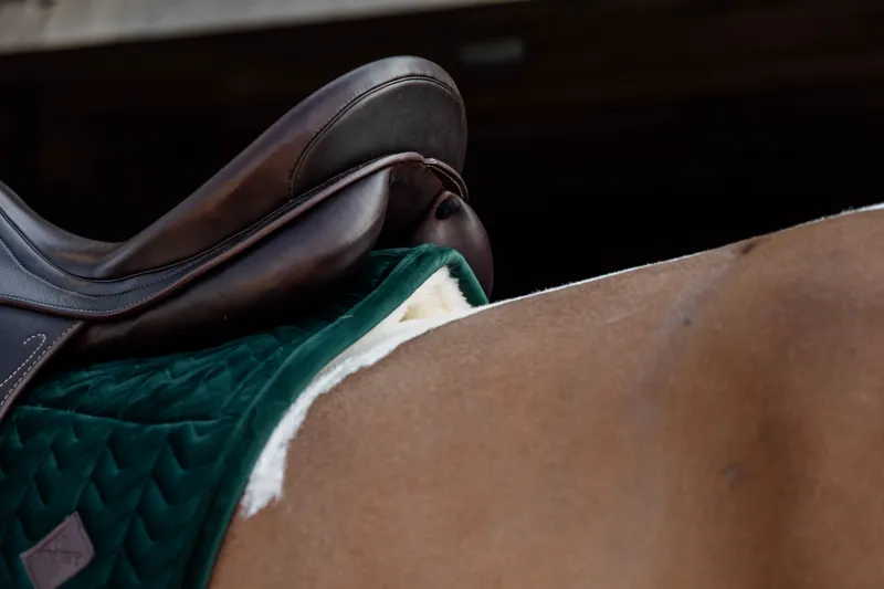 Kentucky Horsewear Skin Friendly Saddle Pad Velvet Dressage Pine Green-3