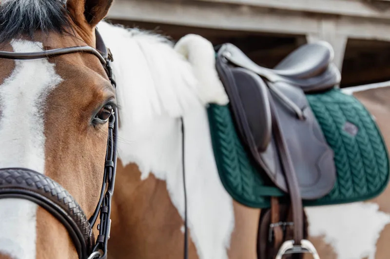 Kentucky Horsewear Skin Friendly Saddle Pad Velvet Dressage Pine Green-4