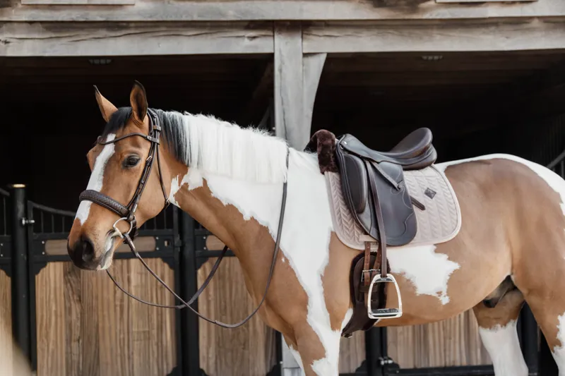 Kentucky Horsewear Skin Friendly Saddle Pad Velvet Dressage Beige-2