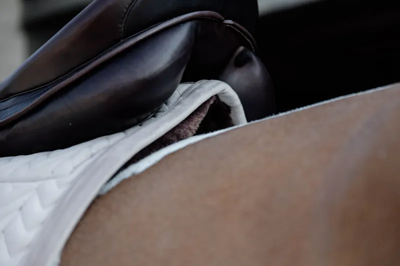 Kentucky Horsewear Skin Friendly Saddle Pad Velvet Dressage Beige-5