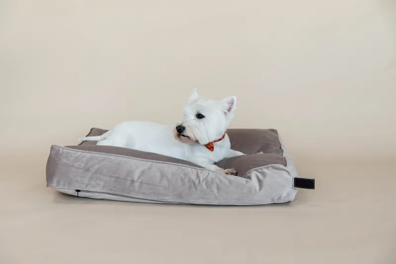Kentucky Dogwear Dog Bed Pillow Velvet Beige-5