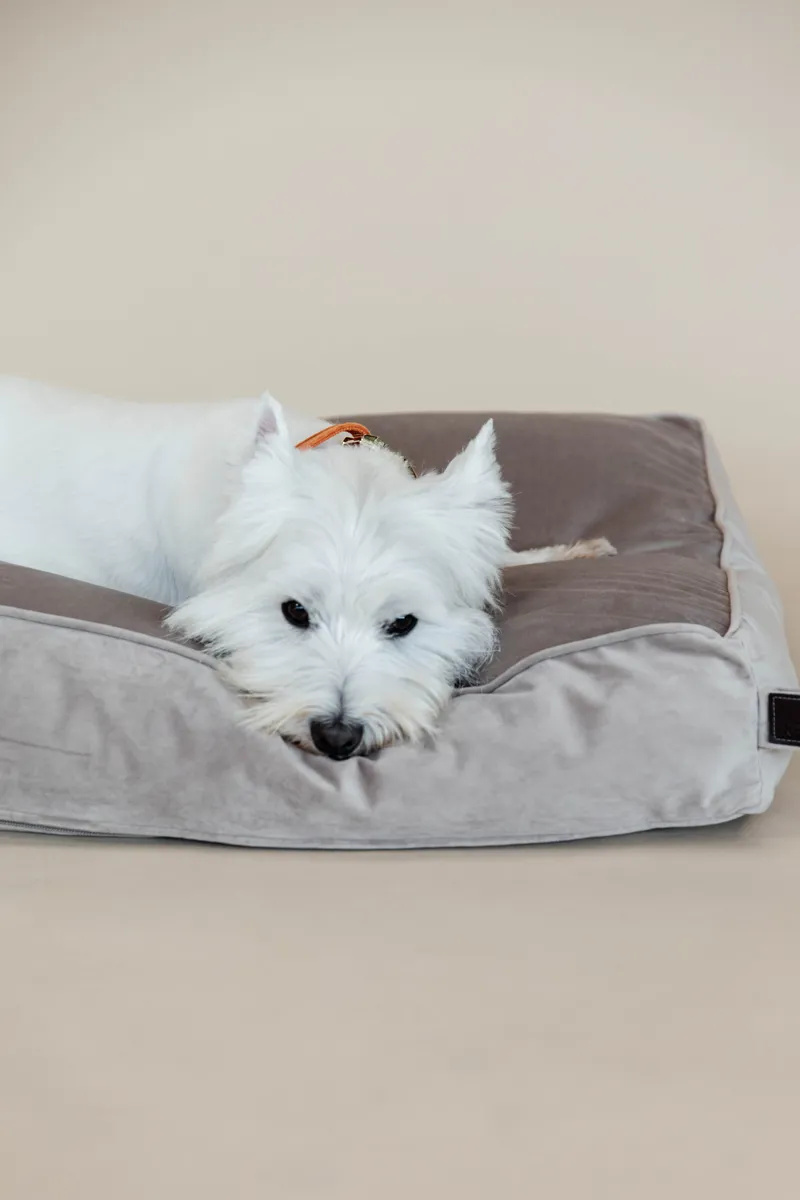 Kentucky Dogwear Dog Bed Pillow Velvet Beige-1