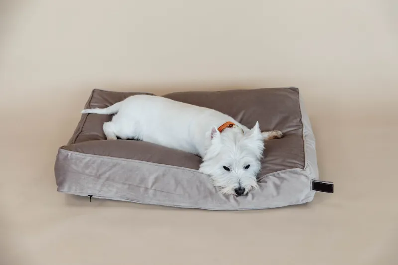 Kentucky Dogwear Dog Bed Pillow Velvet Beige-4