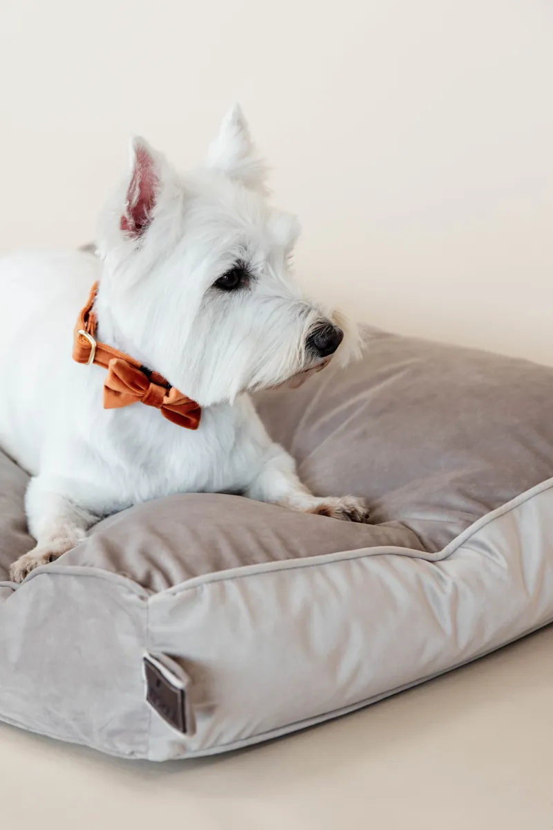 Kentucky Dogwear Dog Bed Pillow Velvet Beige