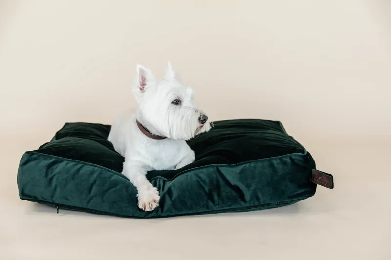 Kentucky Dogwear Dog Bed Pillow Velvet Pine Green-6
