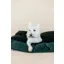 Kentucky Dogwear Dog Bed Pillow Velvet Pine Green