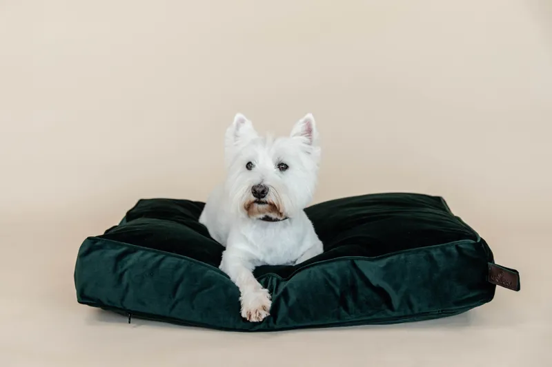 Kentucky Dogwear Dog Bed Pillow Velvet Pine Green-5