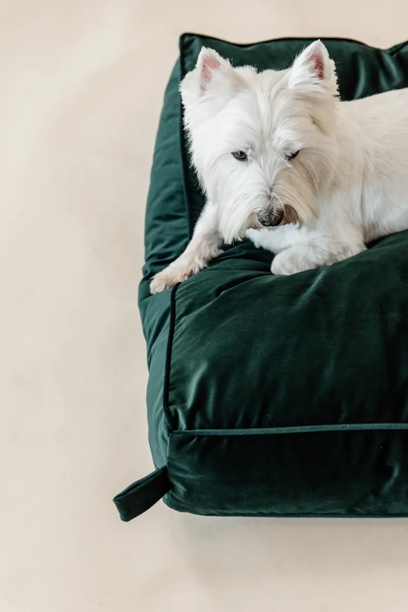 Kentucky Dogwear Dog Bed Pillow Velvet Pine Green-4