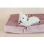 Kentucky Dogwear Dog Bed Pillow Velvet Old Rose