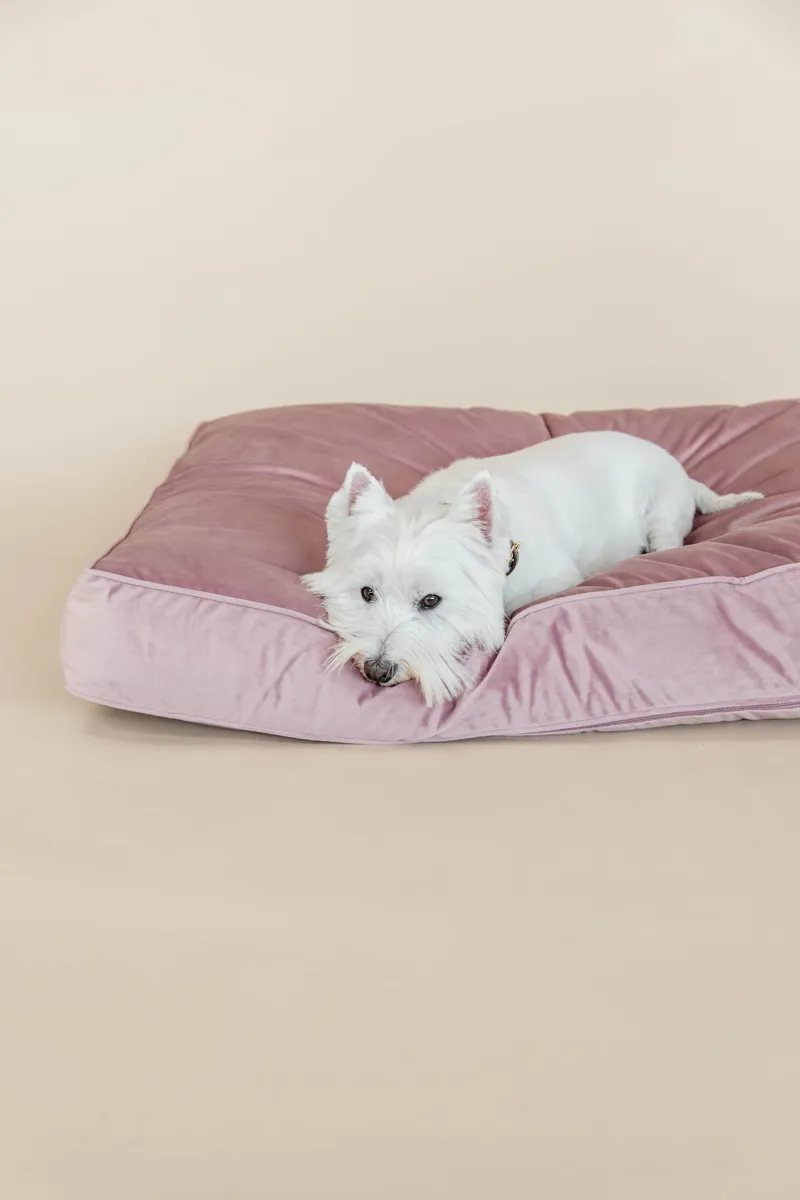 Kentucky Dogwear Dog Bed Pillow Velvet Old Rose-3
