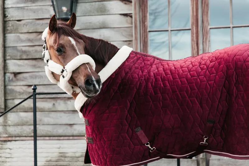 Kentucky Horsewear Show Rug Velvet Bordeaux-5