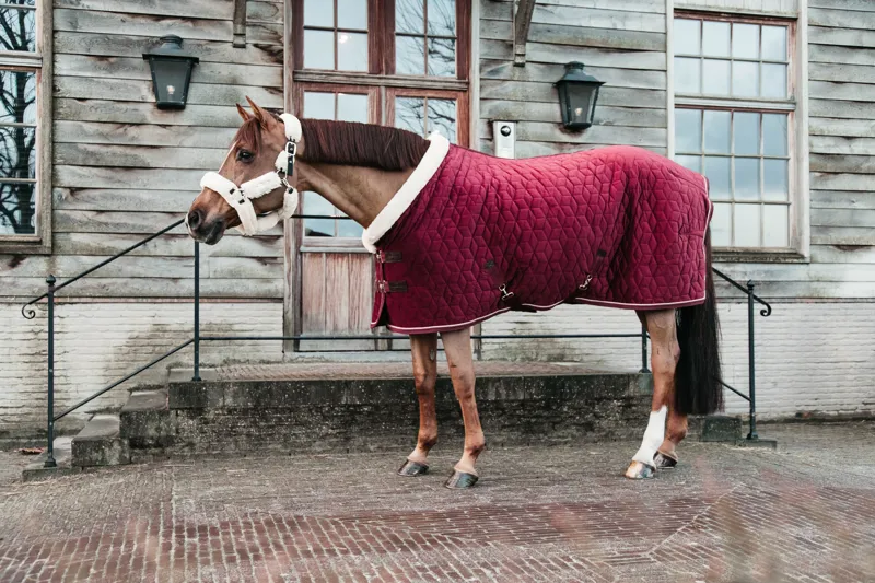 Kentucky Horsewear Show Rug Velvet Bordeaux-6