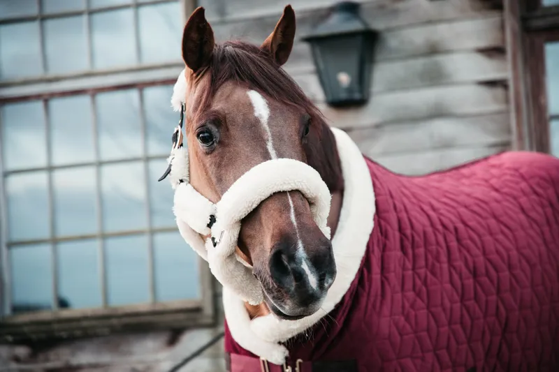 Kentucky Horsewear Show Rug Velvet Bordeaux-7
